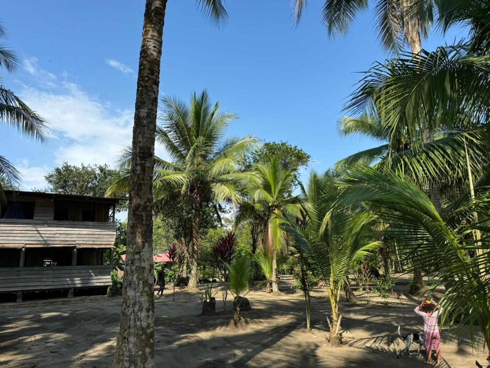 Hospedaje Dona Nel El Valle  Dış mekan fotoğraf